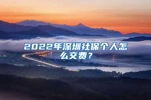 2022年深圳社保个人怎么交费？