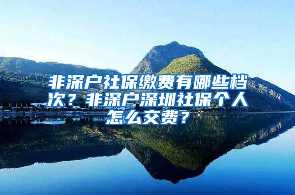 非深户社保缴费有哪些档次？非深户深圳社保个人怎么交费？