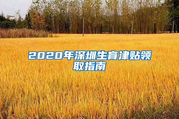 2020年深圳生育津贴领取指南