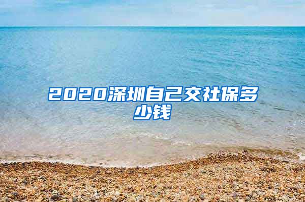 2020深圳自己交社保多少钱