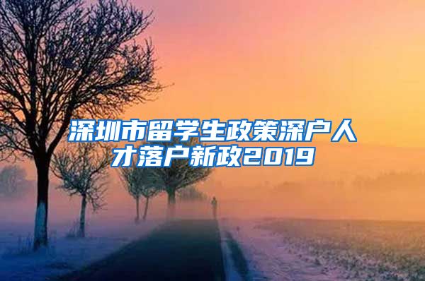 深圳市留学生政策深户人才落户新政2019