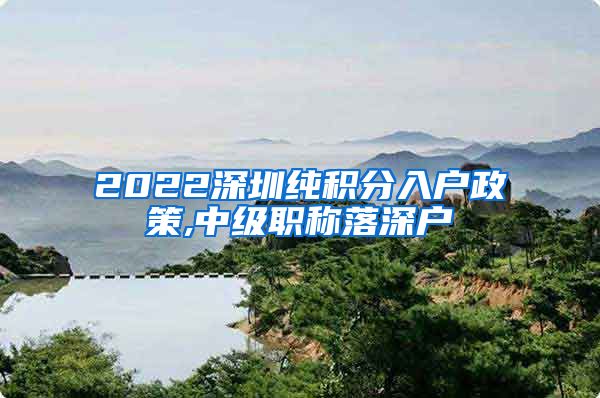 2022深圳纯积分入户政策,中级职称落深户