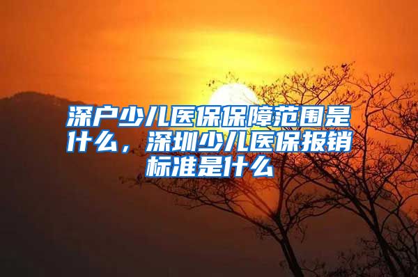 深户少儿医保保障范围是什么，深圳少儿医保报销标准是什么