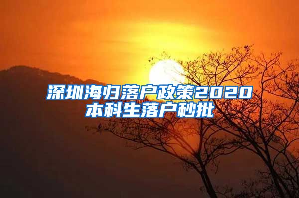 深圳海归落户政策2020本科生落户秒批