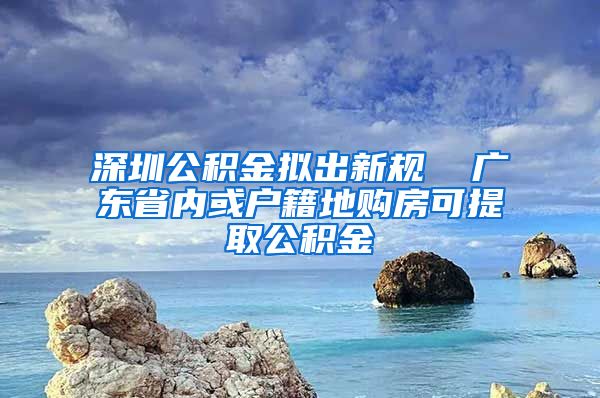 深圳公积金拟出新规  广东省内或户籍地购房可提取公积金