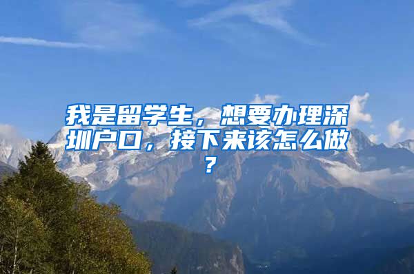 我是留学生，想要办理深圳户口，接下来该怎么做？