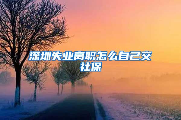 深圳失业离职怎么自己交社保