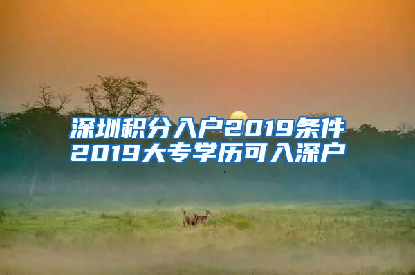 深圳积分入户2019条件2019大专学历可入深户