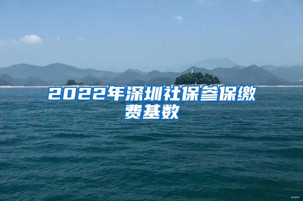 2022年深圳社保参保缴费基数