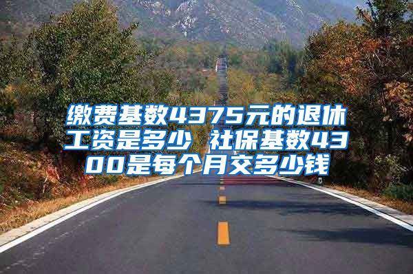 缴费基数4375元的退休工资是多少 社保基数4300是每个月交多少钱