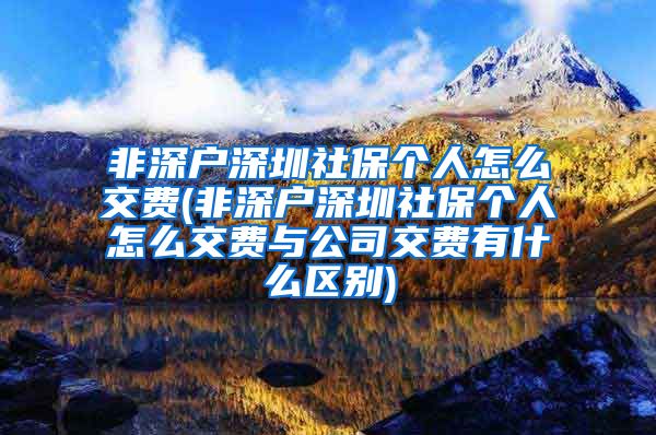 非深户深圳社保个人怎么交费(非深户深圳社保个人怎么交费与公司交费有什么区别)