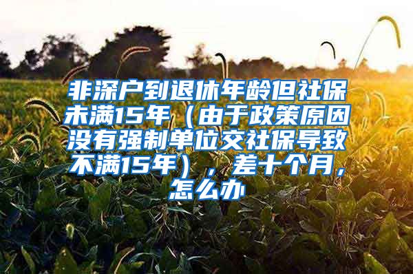 非深户到退休年龄但社保未满15年（由于政策原因没有强制单位交社保导致不满15年），差十个月，怎么办