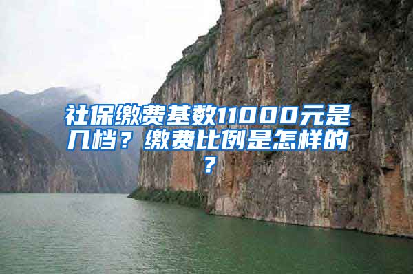 社保缴费基数11000元是几档？缴费比例是怎样的？