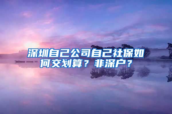 深圳自己公司自己社保如何交划算？非深户？