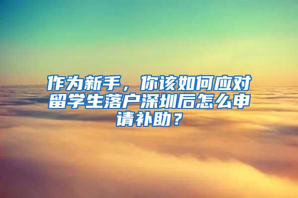 作为新手，你该如何应对留学生落户深圳后怎么申请补助？