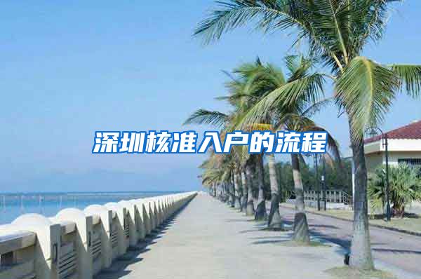 深圳核准入户的流程