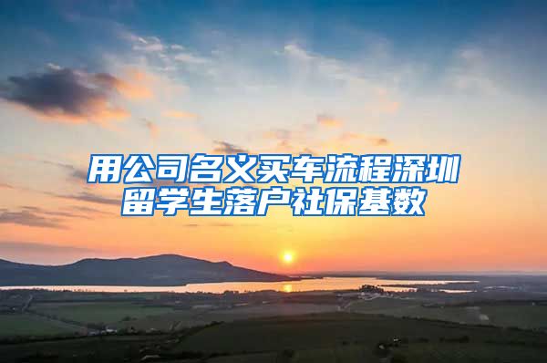 用公司名义买车流程深圳留学生落户社保基数