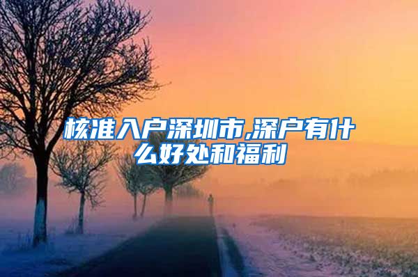 核准入户深圳市,深户有什么好处和福利