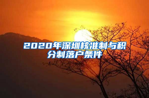 2020年深圳核准制与积分制落户条件