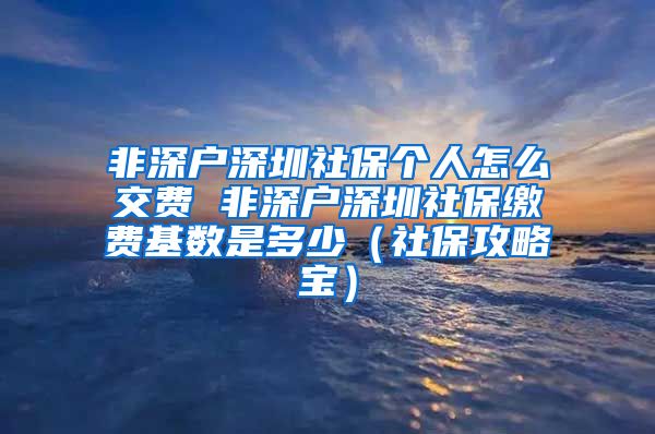 非深户深圳社保个人怎么交费 非深户深圳社保缴费基数是多少（社保攻略宝）