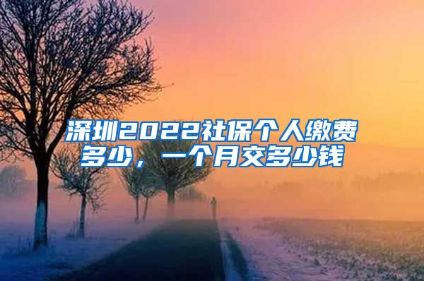 深圳2022社保个人缴费多少，一个月交多少钱