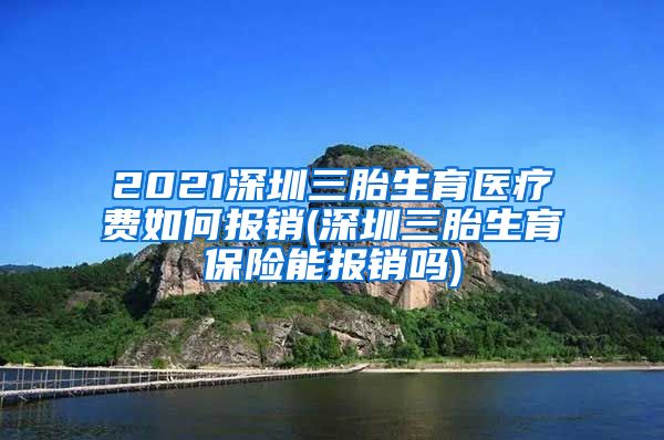 2021深圳三胎生育医疗费如何报销(深圳三胎生育保险能报销吗)