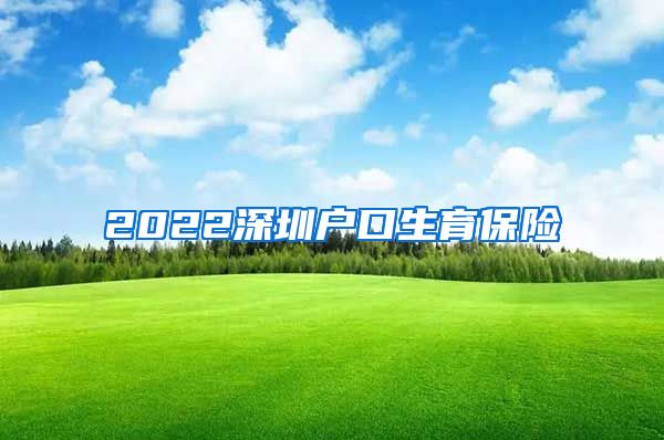 2022深圳户口生育保险