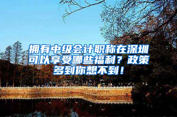 拥有中级会计职称在深圳可以享受哪些福利？政策多到你想不到！