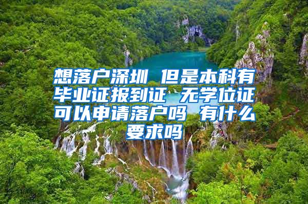 想落户深圳 但是本科有毕业证报到证 无学位证可以申请落户吗 有什么要求吗