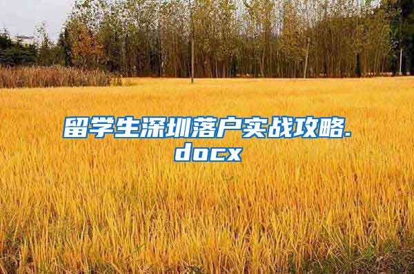 留学生深圳落户实战攻略.docx