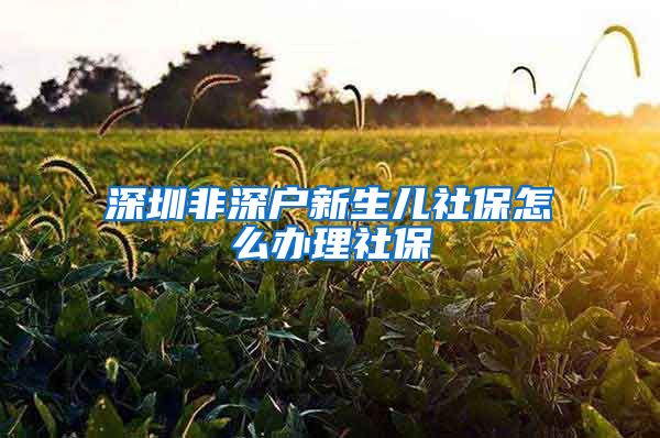 深圳非深户新生儿社保怎么办理社保