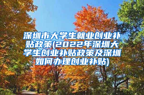 深圳市大学生就业创业补贴政策(2022年深圳大学生创业补贴政策及深圳如何办理创业补贴)