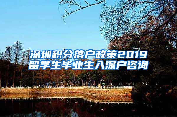 深圳积分落户政策2019留学生毕业生入深户咨询