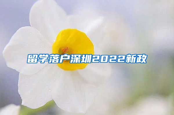 留学落户深圳2022新政