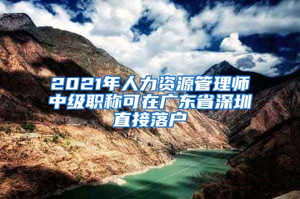 2021年人力资源管理师中级职称可在广东省深圳直接落户