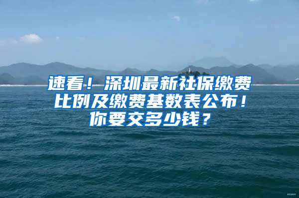 速看！深圳最新社保缴费比例及缴费基数表公布！你要交多少钱？