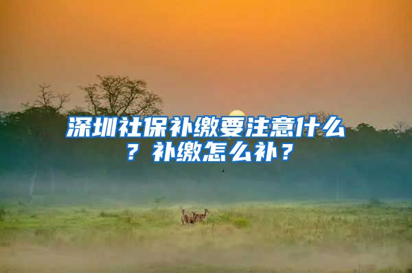 深圳社保补缴要注意什么？补缴怎么补？