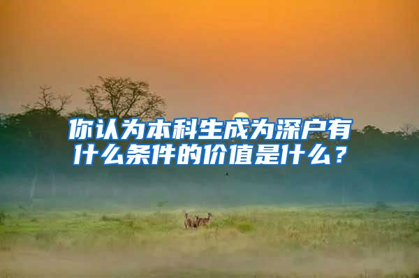 你认为本科生成为深户有什么条件的价值是什么？