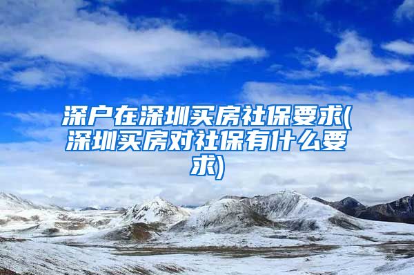 深户在深圳买房社保要求(深圳买房对社保有什么要求)