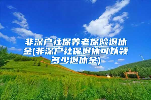 非深户社保养老保险退休金(非深户社保退休可以领多少退休金)