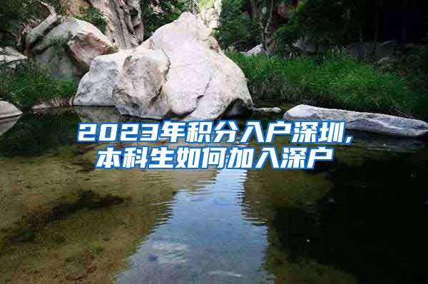 2023年积分入户深圳,本科生如何加入深户