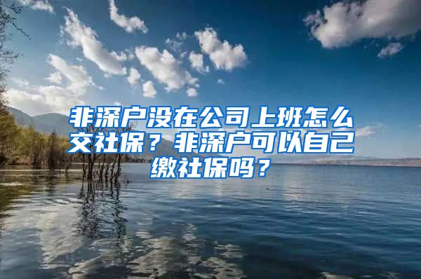 非深户没在公司上班怎么交社保？非深户可以自己缴社保吗？