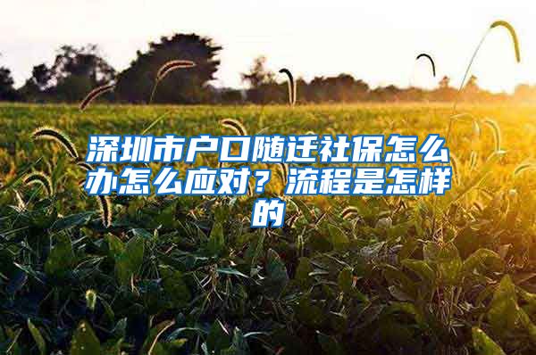 深圳市户口随迁社保怎么办怎么应对？流程是怎样的