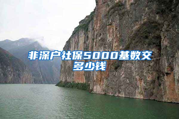 非深户社保5000基数交多少钱