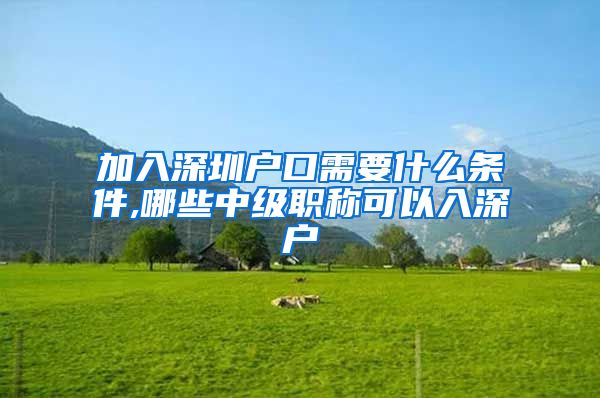 加入深圳户口需要什么条件,哪些中级职称可以入深户