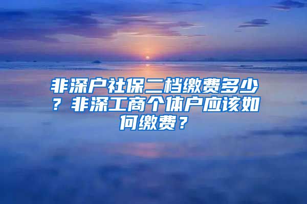 非深户社保二档缴费多少？非深工商个体户应该如何缴费？