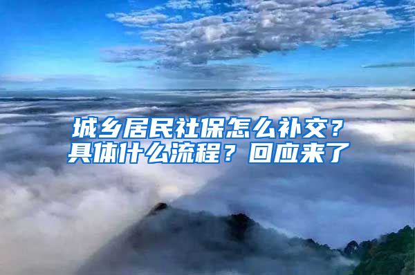 城乡居民社保怎么补交？具体什么流程？回应来了