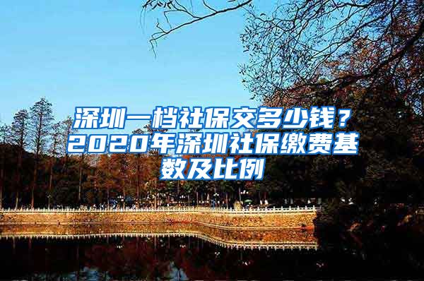 深圳一档社保交多少钱？2020年深圳社保缴费基数及比例