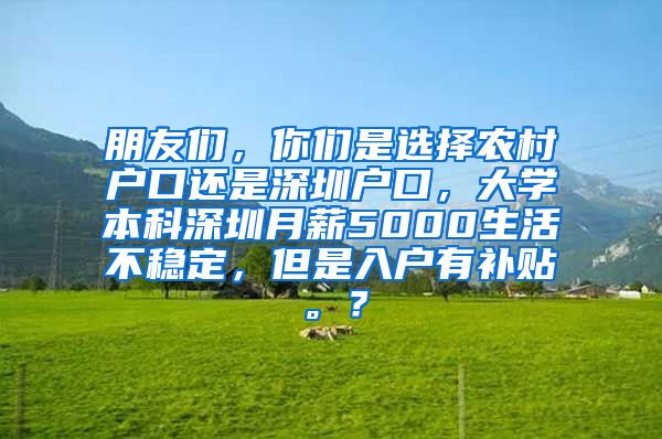 朋友们，你们是选择农村户口还是深圳户口，大学本科深圳月薪5000生活不稳定，但是入户有补贴。？