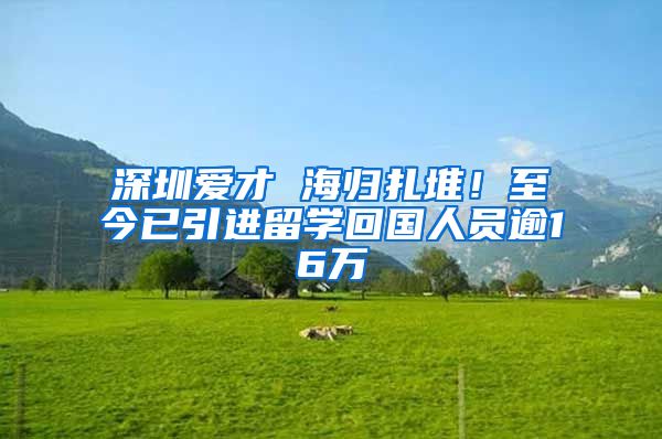 深圳爱才 海归扎堆！至今已引进留学回国人员逾16万